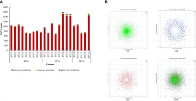 Whole-exome sequencing and bioinformatic analyses revealed differences in gene mutation profiles in papillary thyroid cancer patients with and without benign thyroid goitre background